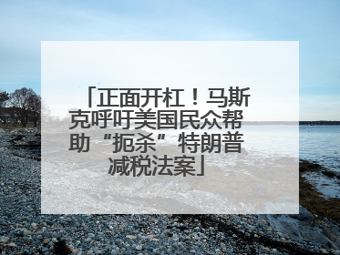 正面开杠！马斯克呼吁美国民众帮助“扼杀”特朗普减税法案