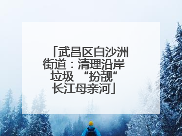武昌区白沙洲街道：清理沿岸垃圾 “扮靓”长江母亲河