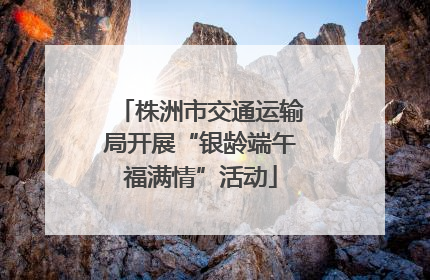 株洲市交通运输局开展“银龄端午福满情”活动