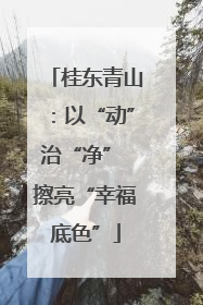 桂东青山：以“动”治“净” 擦亮“幸福底色”