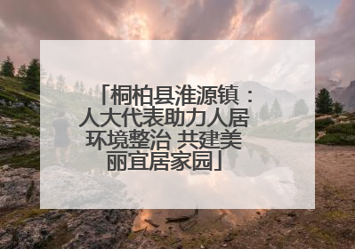 桐柏县淮源镇：人大代表助力人居环境整治 共建美丽宜居家园