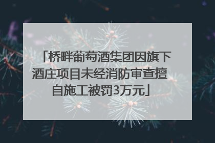 桥畔葡萄酒集团因旗下酒庄项目未经消防审查擅自施工被罚3万元