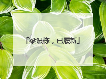 梁识栋，已履新