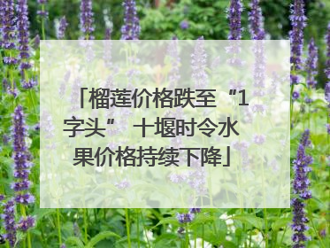 榴莲价格跌至“1字头” 十堰时令水果价格持续下降