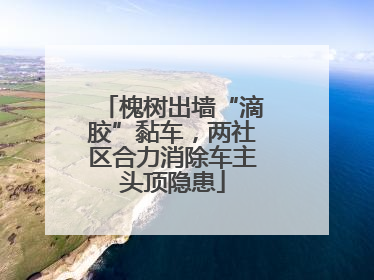 槐树出墙“滴胶”黏车，两社区合力消除车主头顶隐患