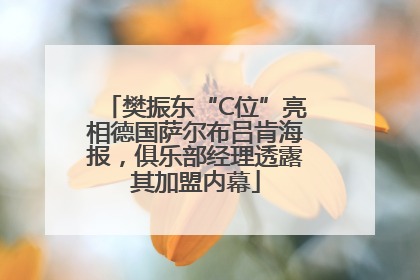 樊振东“C位”亮相德国萨尔布吕肯海报，俱乐部经理透露其加盟内幕