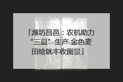 潍坊昌邑：农机助力“三夏”生产 金色麦田绘就丰收图景