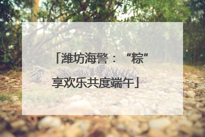 潍坊海警：“粽”享欢乐共度端午