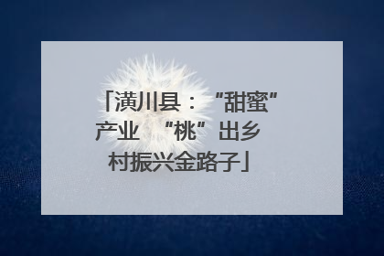 潢川县：“甜蜜”产业  “桃”出乡村振兴金路子