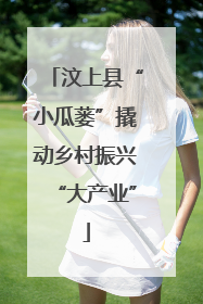 汶上县“小瓜蒌”撬动乡村振兴“大产业”