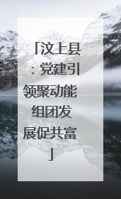 汶上县：党建引领聚动能 组团发展促共富