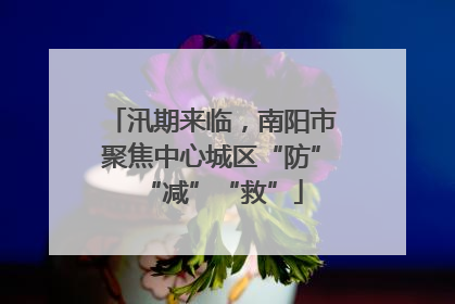 汛期来临，南阳市聚焦中心城区“防”“减”“救”
