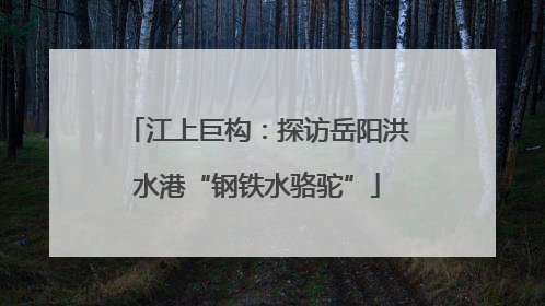 江上巨构：探访岳阳洪水港“钢铁水骆驼”