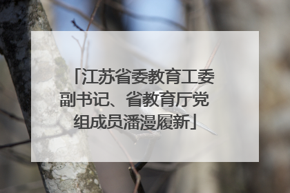 江苏省委教育工委副书记、省教育厅党组成员潘漫履新