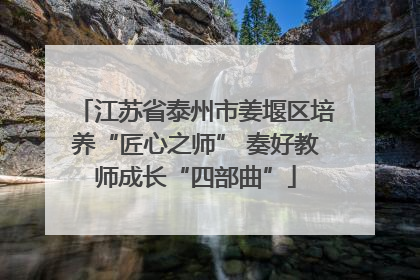 江苏省泰州市姜堰区培养“匠心之师” 奏好教师成长“四部曲”