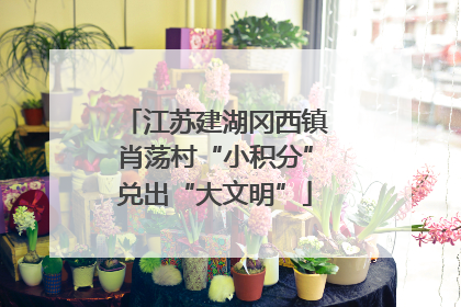 江苏建湖冈西镇肖荡村“小积分”兑出“大文明”