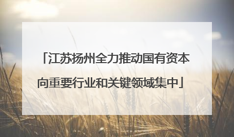 江苏扬州全力推动国有资本向重要行业和关键领域集中
