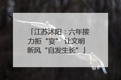 江苏沭阳：六年接力拒“宴” 让文明新风“自发生长”