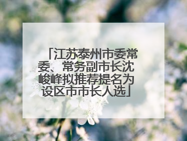 江苏泰州市委常委、常务副市长沈峻峰拟推荐提名为设区市市长人选