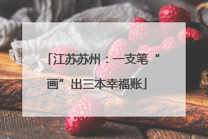 江苏苏州：一支笔“画”出三本幸福账