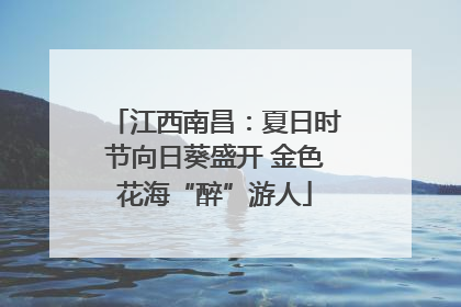 江西南昌：夏日时节向日葵盛开 金色花海“醉”游人