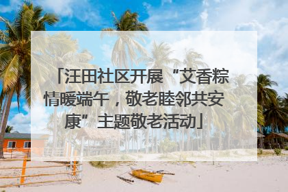 汪田社区开展“艾香粽情暖端午，敬老睦邻共安康”主题敬老活动