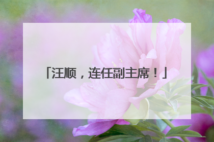 汪顺，连任副主席！