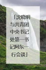 沈晓明与共青团中央书记处第一书记阿东一行会谈