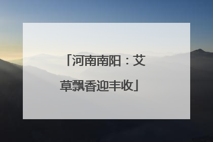河南南阳：艾草飘香迎丰收