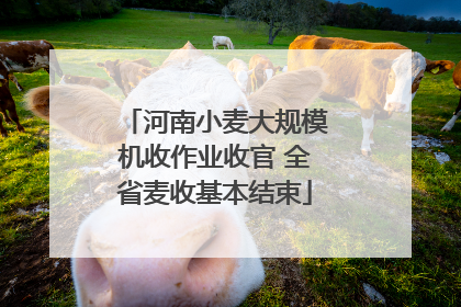 河南小麦大规模机收作业收官 全省麦收基本结束