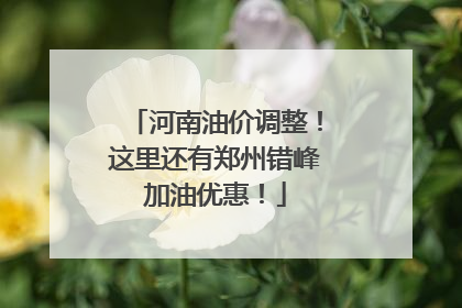 河南油价调整！这里还有郑州错峰加油优惠！