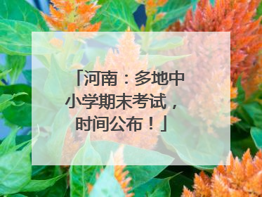 河南：多地中小学期末考试，时间公布！