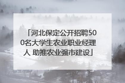 河北保定公开招聘500名大学生农业职业经理人 助推农业强市建设