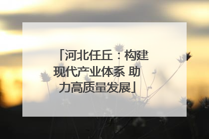 河北任丘：构建现代产业体系 助力高质量发展