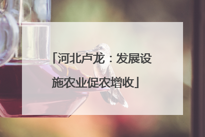 河北卢龙：发展设施农业促农增收