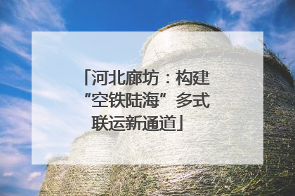 河北廊坊：构建“空铁陆海”多式联运新通道