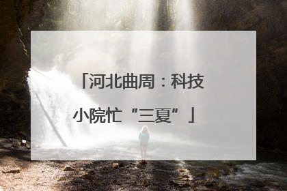 河北曲周：科技小院忙“三夏”