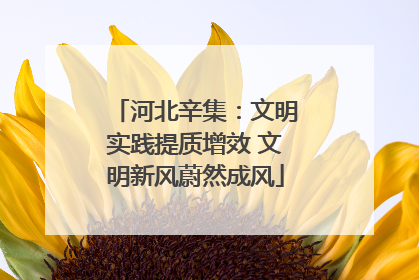 河北辛集：文明实践提质增效 文明新风蔚然成风