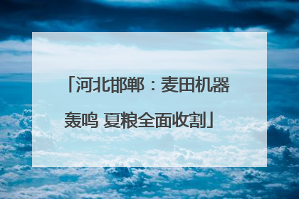 河北邯郸：麦田机器轰鸣 夏粮全面收割