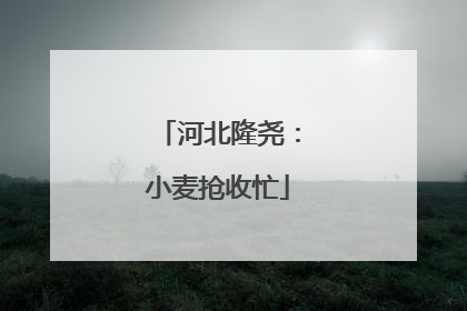 河北隆尧：小麦抢收忙
