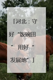 河北：守好“饭碗田” 用好“发展地”