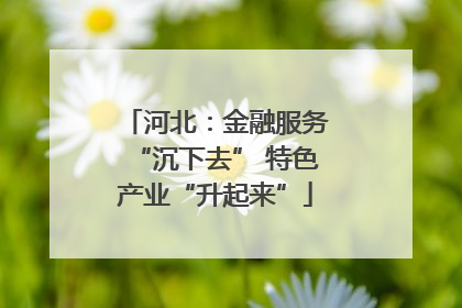 河北：金融服务“沉下去” 特色产业“升起来”