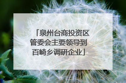 泉州台商投资区管委会主要领导到百崎乡调研企业