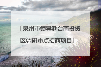 泉州市领导赴台商投资区调研重点招商项目
