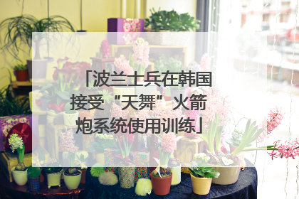 波兰士兵在韩国接受“天舞”火箭炮系统使用训练