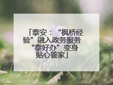泰安：“枫桥经验”融入政务服务 “泰好办”变身贴心管家