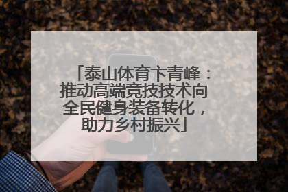 泰山体育卞青峰：推动高端竞技技术向全民健身装备转化，助力乡村振兴