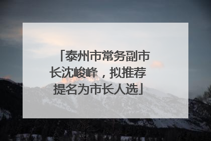 泰州市常务副市长沈峻峰，拟推荐提名为市长人选