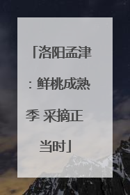 洛阳孟津：鲜桃成熟季 采摘正当时