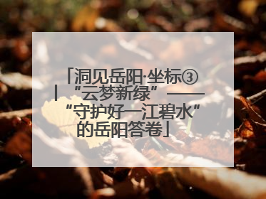 洞见岳阳·坐标③丨“云梦新绿”——“守护好一江碧水”的岳阳答卷